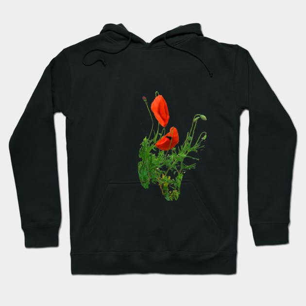 Poppies Hoodie by Alchemia